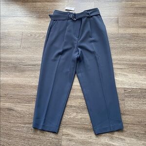 Aunt Taylor NWT Slate- Blue  Pants/Trouser Front Pleats High Waist Sz 12